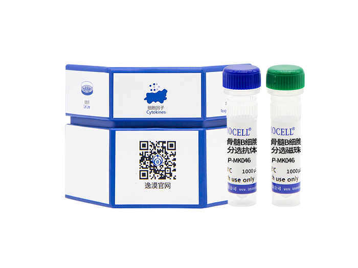 小鼠骨髓B细胞分离试剂盒（阴选）