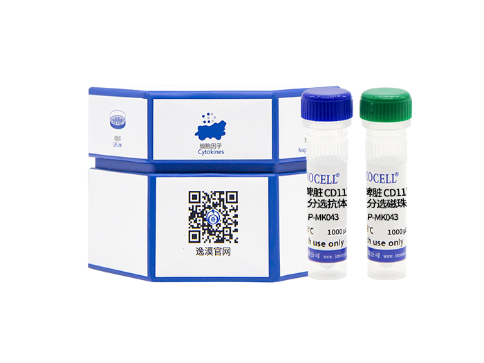 小鼠脾脏CD11b+单核细胞分离试剂盒（阴选）