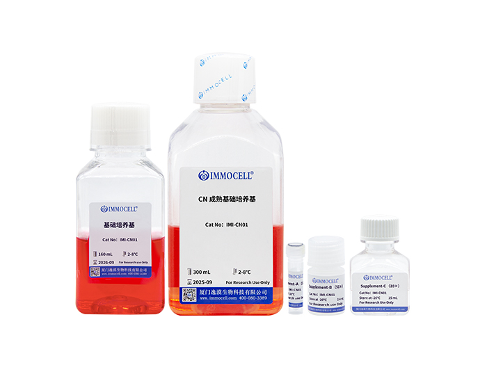 hPSC诱导分化皮质神经元试剂盒