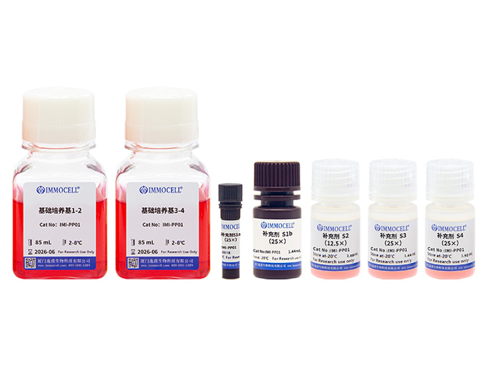 hPSC诱导分化胰腺祖细胞试剂盒