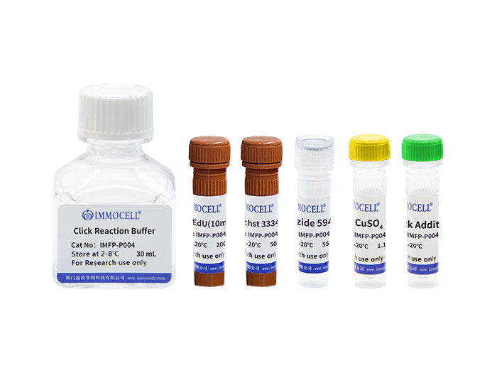 AF 594 Click-iT EdU通用款细胞增殖检测试剂盒（红色荧光）