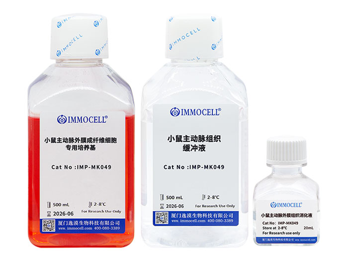 小鼠主动脉外膜成纤维细胞分离试剂盒