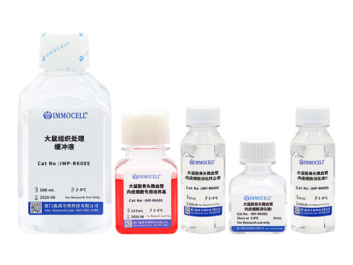 大鼠股骨头微血管内皮细胞分离试剂盒