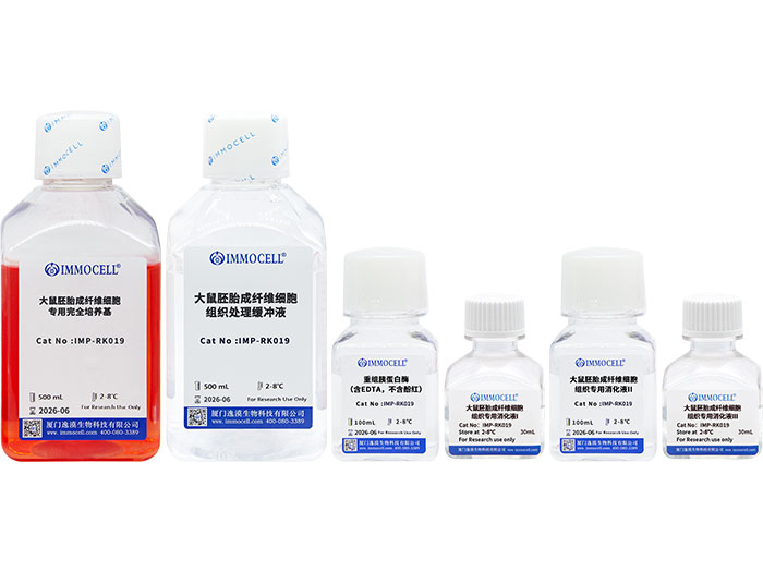 大鼠胚胎成纤维细胞分离试剂盒