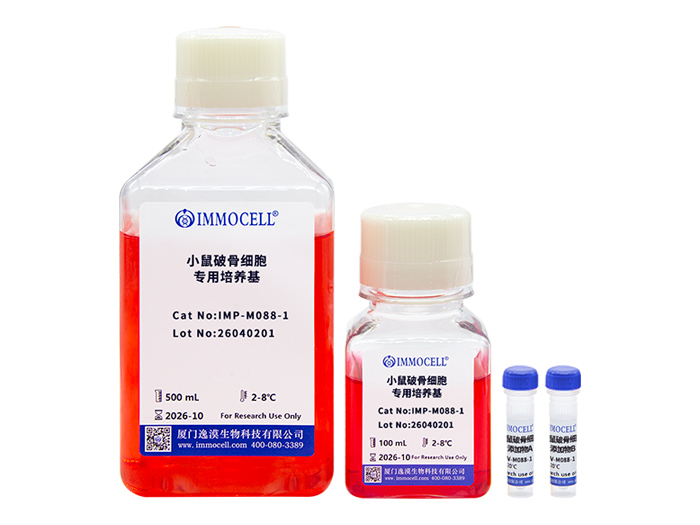 小鼠破骨细胞专用培养基